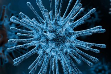 Misure urgenti in materia di contenimento e gestione dell'emergenza epidemiologica da COVID-2019