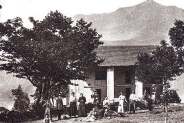Sfoglia la galleria
